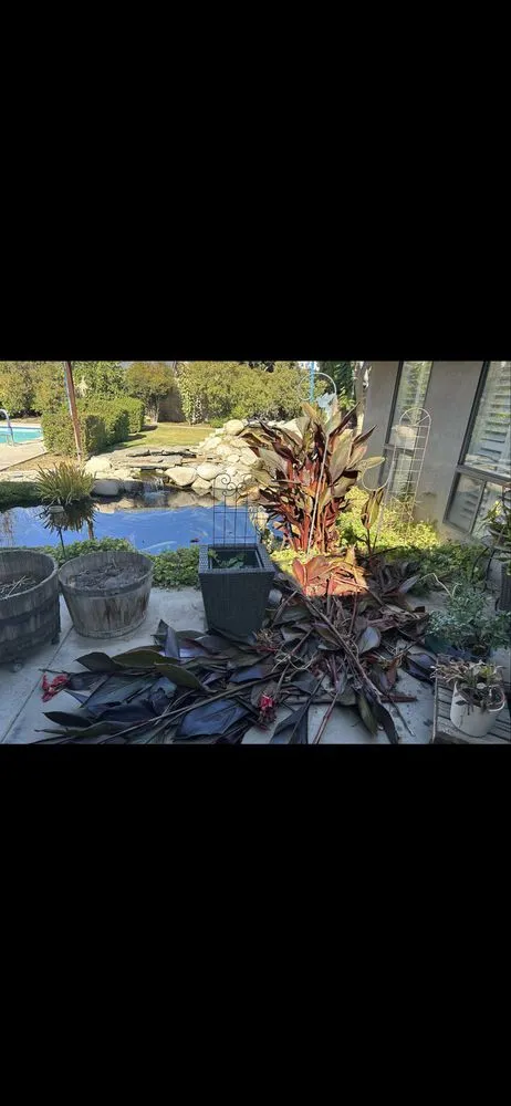 Local residential landscaping in Modesto, CA - ClearScape Pond Care