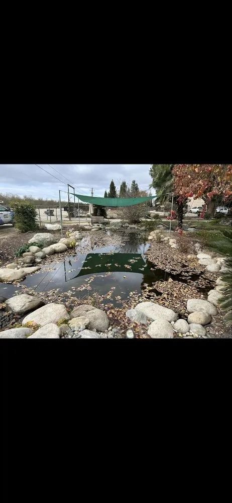 Top-rated landscape design in Modesto, CA by ClearScape Pond Care
