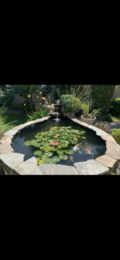 Top-rated landscape design for beautiful yards across Modesto, CA - ClearScape Pond Care