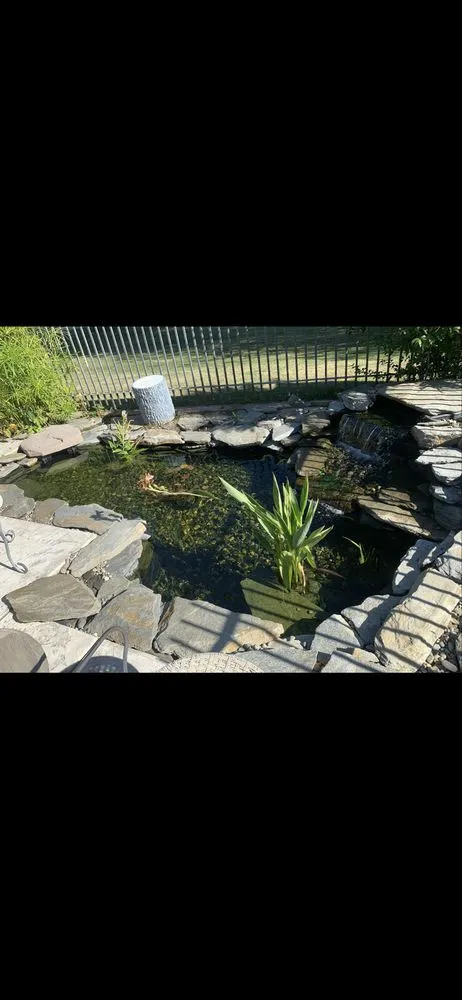 Expert yard maintenance with custom design across Modesto, CA - ClearScape Pond Care