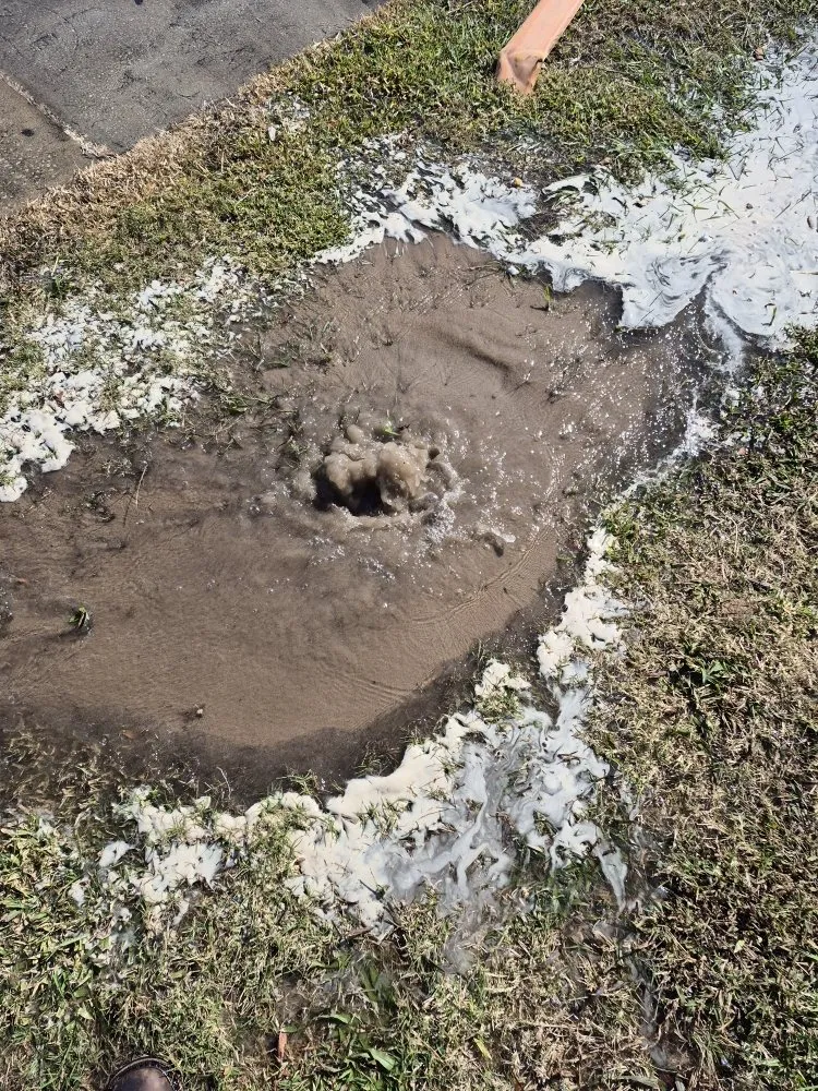 Trusted yard cleanup service experts serving Orlando, FL - ClearStream Irrigation