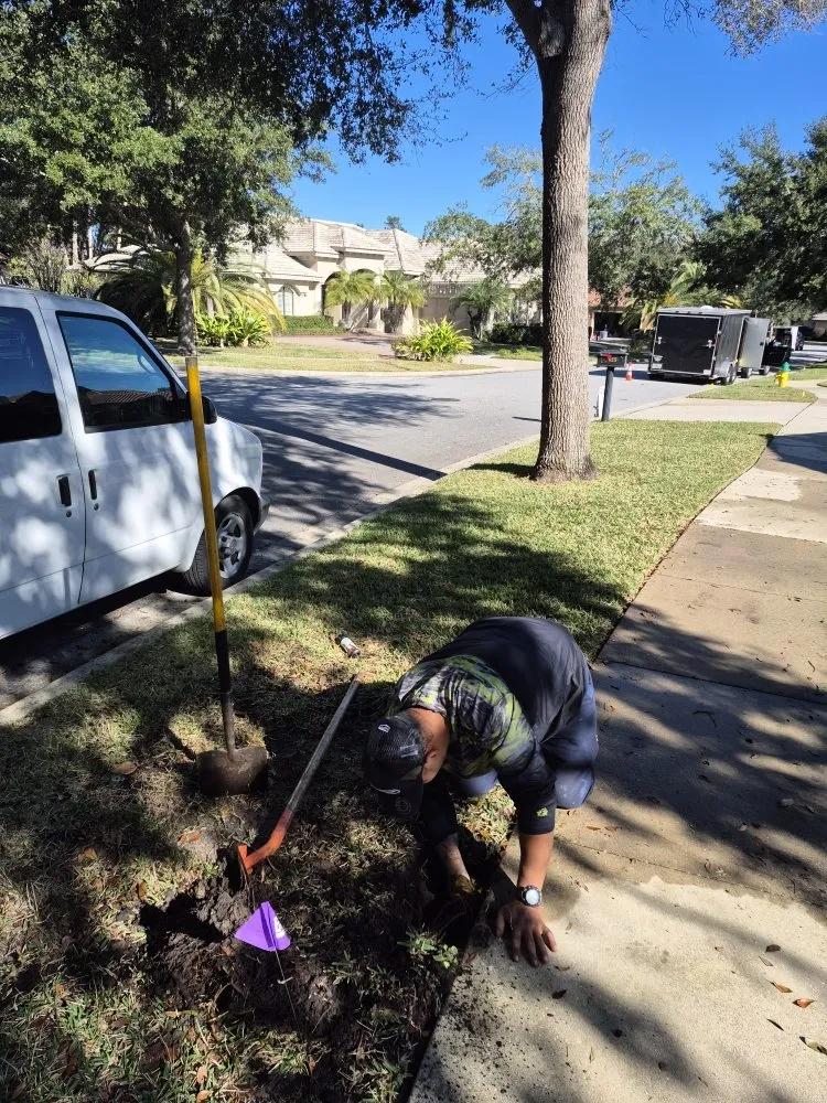 Professional yard cleanup service in Orlando, FL - ClearStream Irrigation