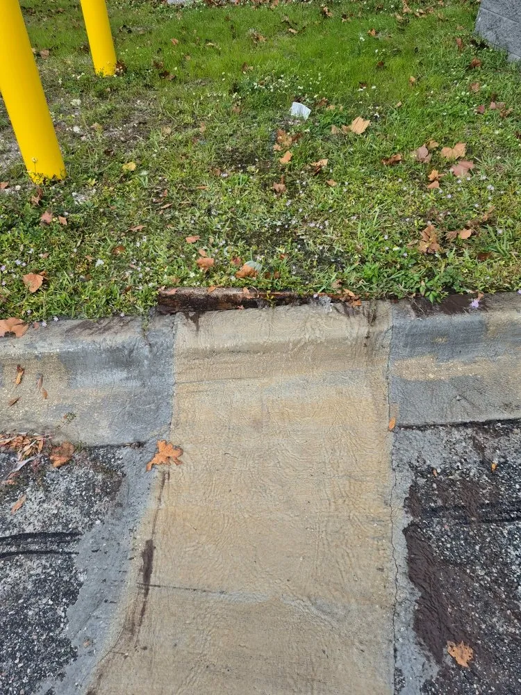 Professional lawn care service in Orlando, FL - ClearStream Irrigation