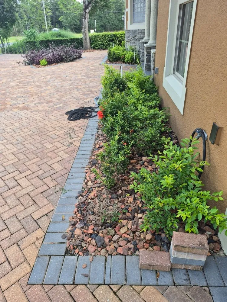Custom yard cleanup service in Orlando, FL by ClearStream Irrigation