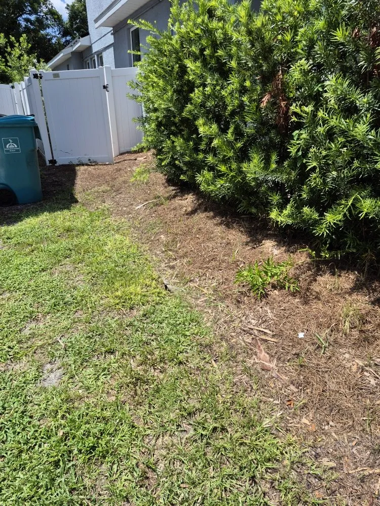 Professional outdoor landscaping in Orlando, FL by ClearStream Irrigation