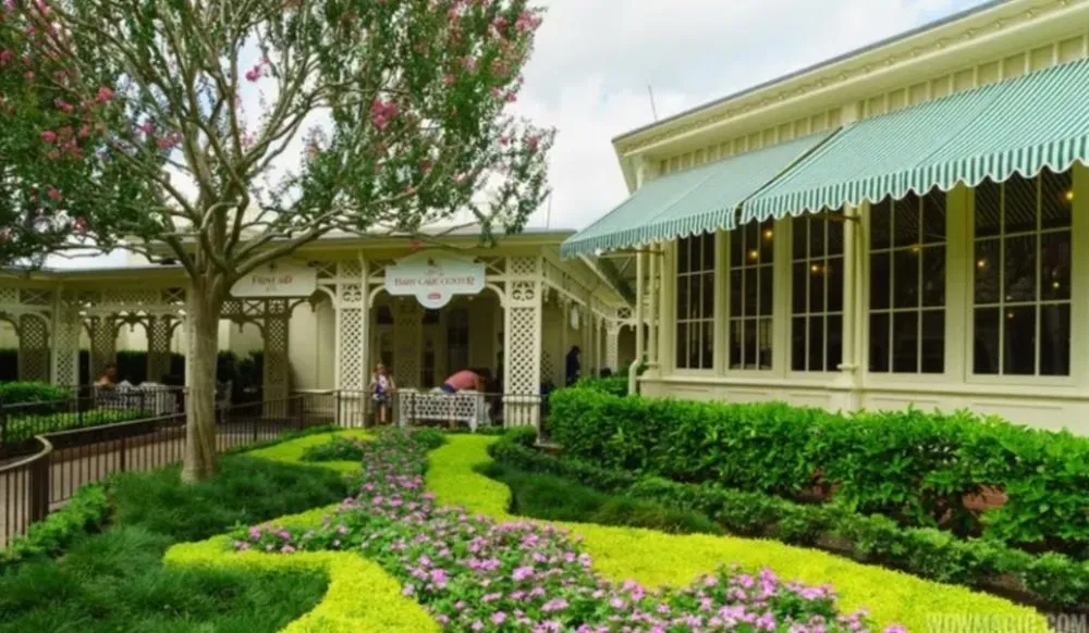 Professional yard cleanup service in Orlando, FL by ClearStream Irrigation