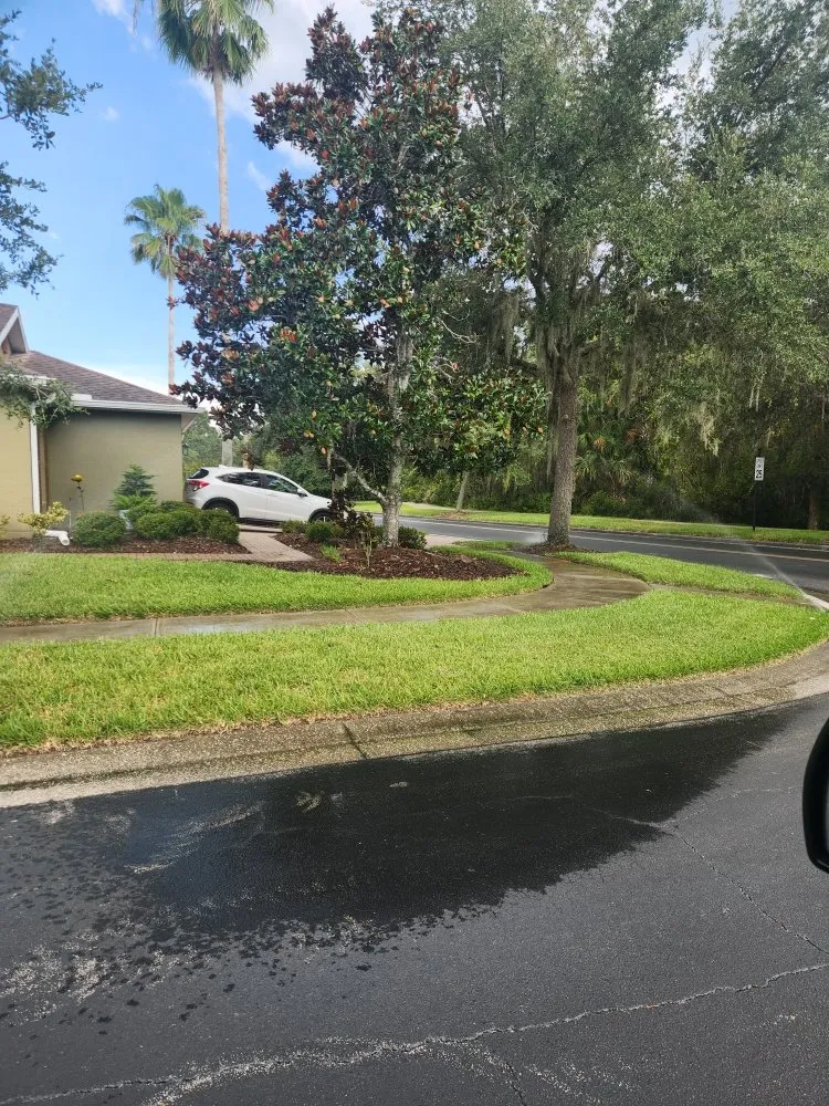 Professional lawn care service for outdoor upgrades in Orlando, FL by ClearStream Irrigation
