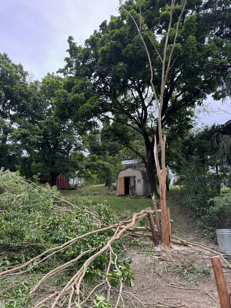 Expert landscape installation for beautiful yards in Essex, MD by ClearView Contracting