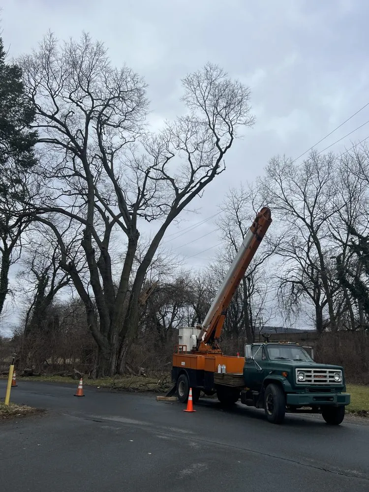 Local garden landscaping with custom design across Hamburg, PA - Clearview ECS