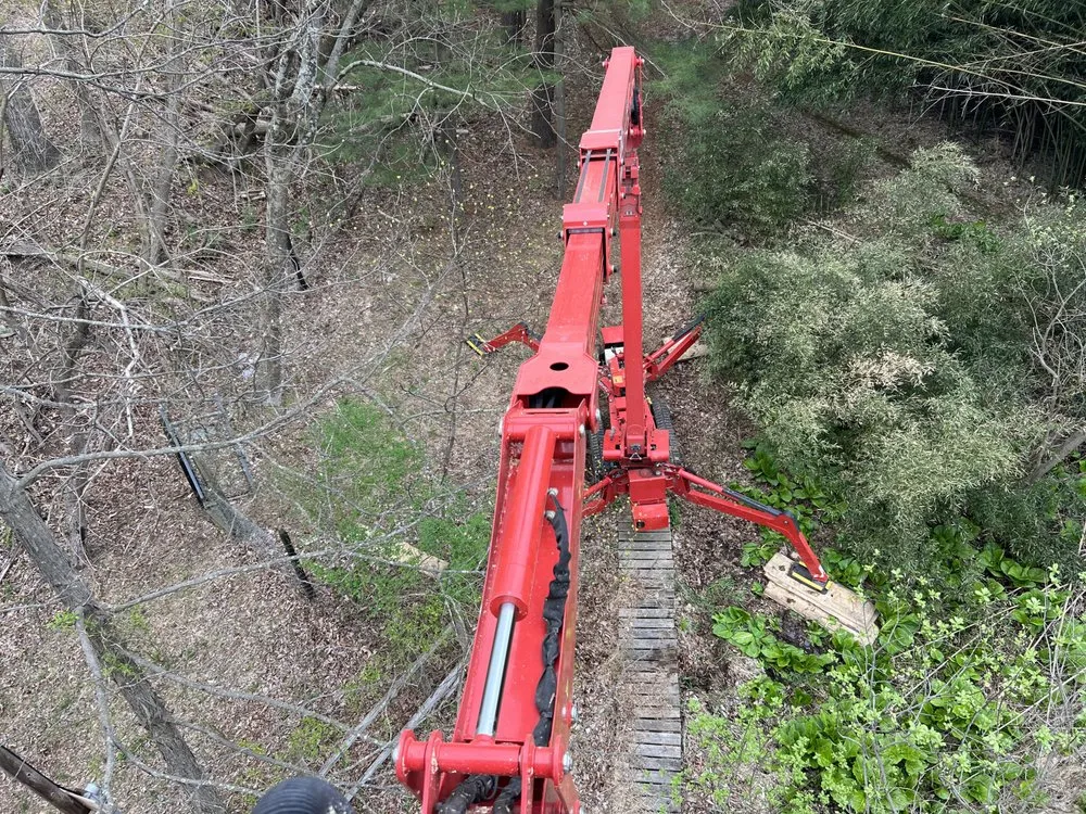 Professional yard cleanup service near you in Hamburg, PA by Clearview ECS