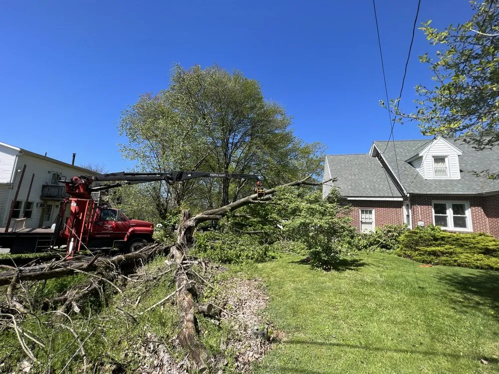 Local yard cleanup service experts serving Hamburg, PA - Clearview ECS