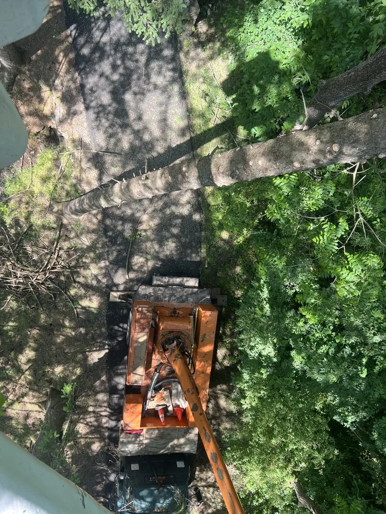 Custom yard cleanup service in Hamburg, PA - Clearview ECS