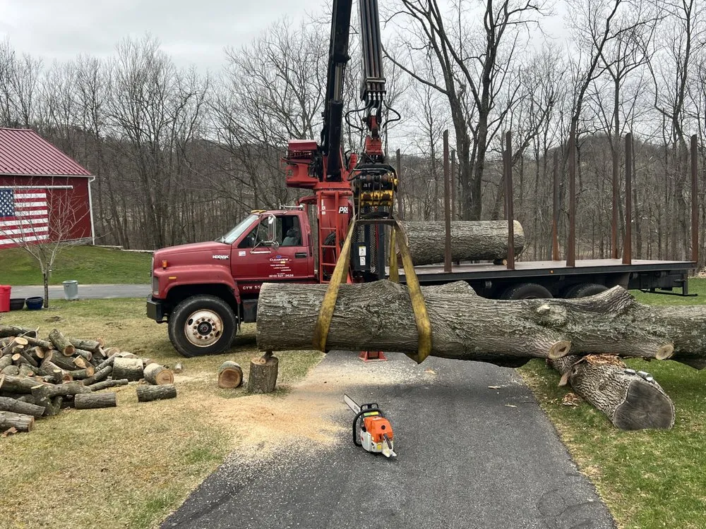 Top-rated outdoor landscaping for outdoor upgrades across Hamburg, PA - Clearview ECS