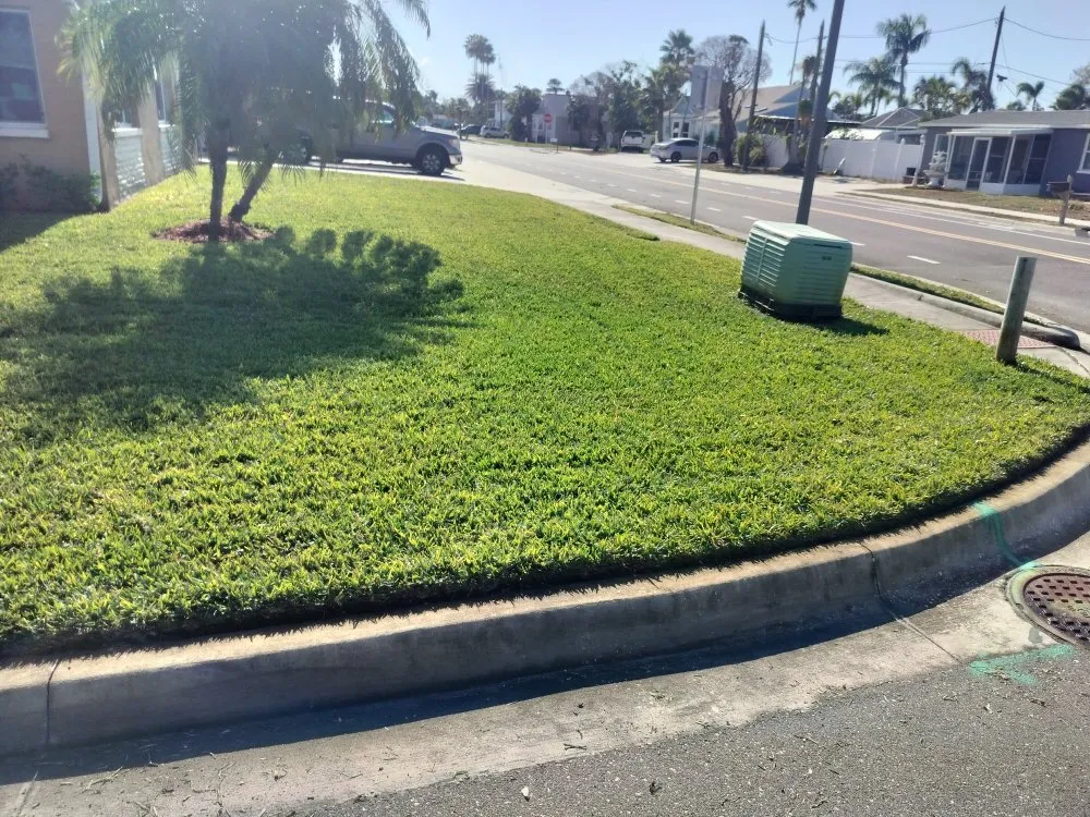 Custom landscaping services with custom design in St. Petersburg, FL by Clearview Handy Crew