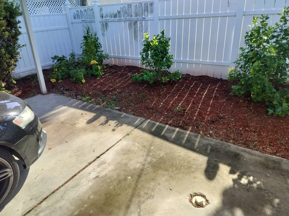 Custom yard maintenance in St. Petersburg, FL - Clearview Handy Crew