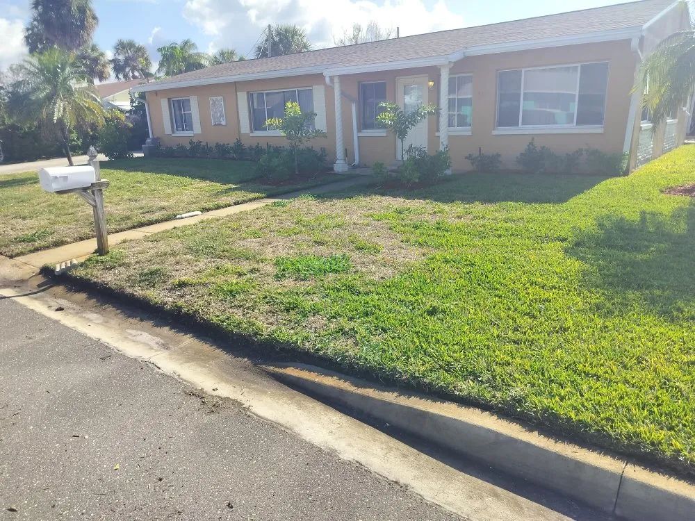 Expert landscaping services for homes across St. Petersburg, FL - Clearview Handy Crew