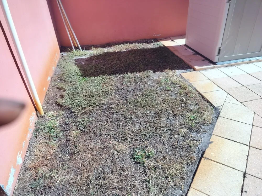 Trusted yard maintenance for outdoor upgrades across St. Petersburg, FL - Clearview Handy Crew