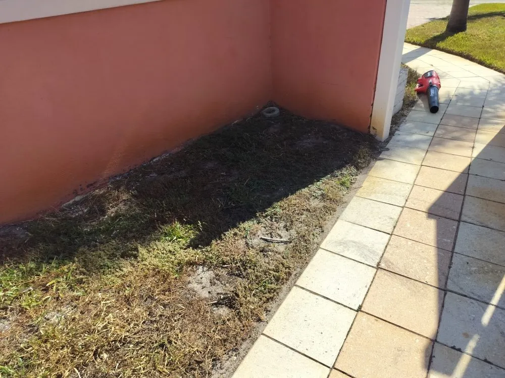 Custom lawn care service in St. Petersburg, FL by Clearview Handy Crew