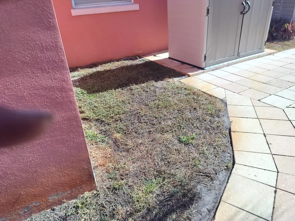 Professional yard cleanup service for year-round maintenance across St. Petersburg, FL - Clearview Handy Crew