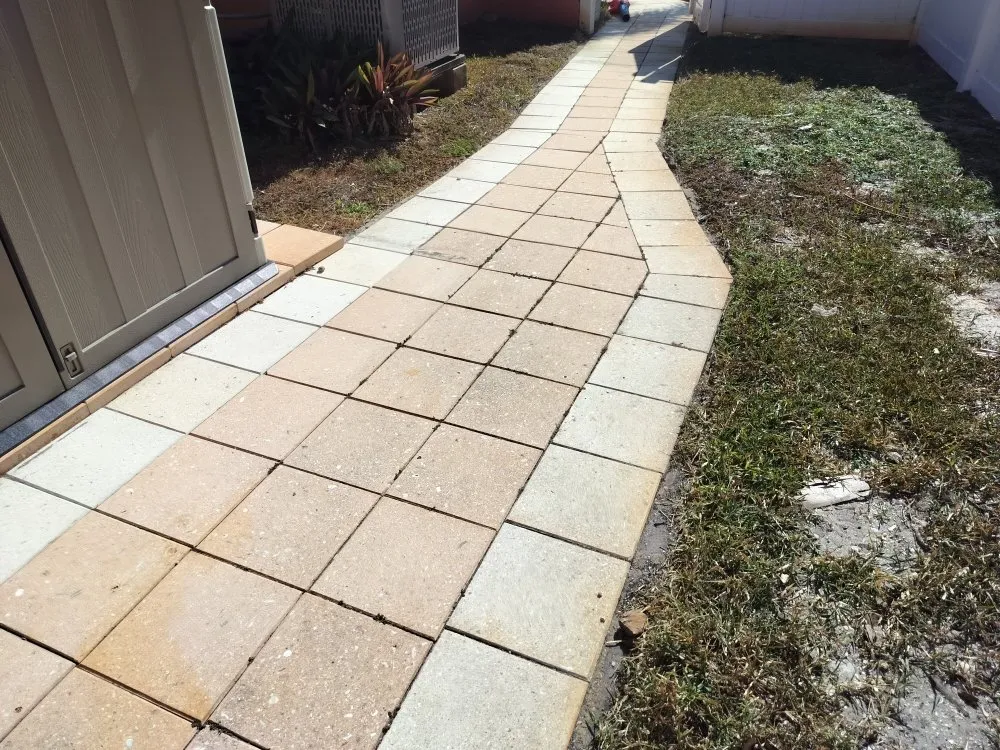 Custom yard maintenance in St. Petersburg, FL by Clearview Handy Crew