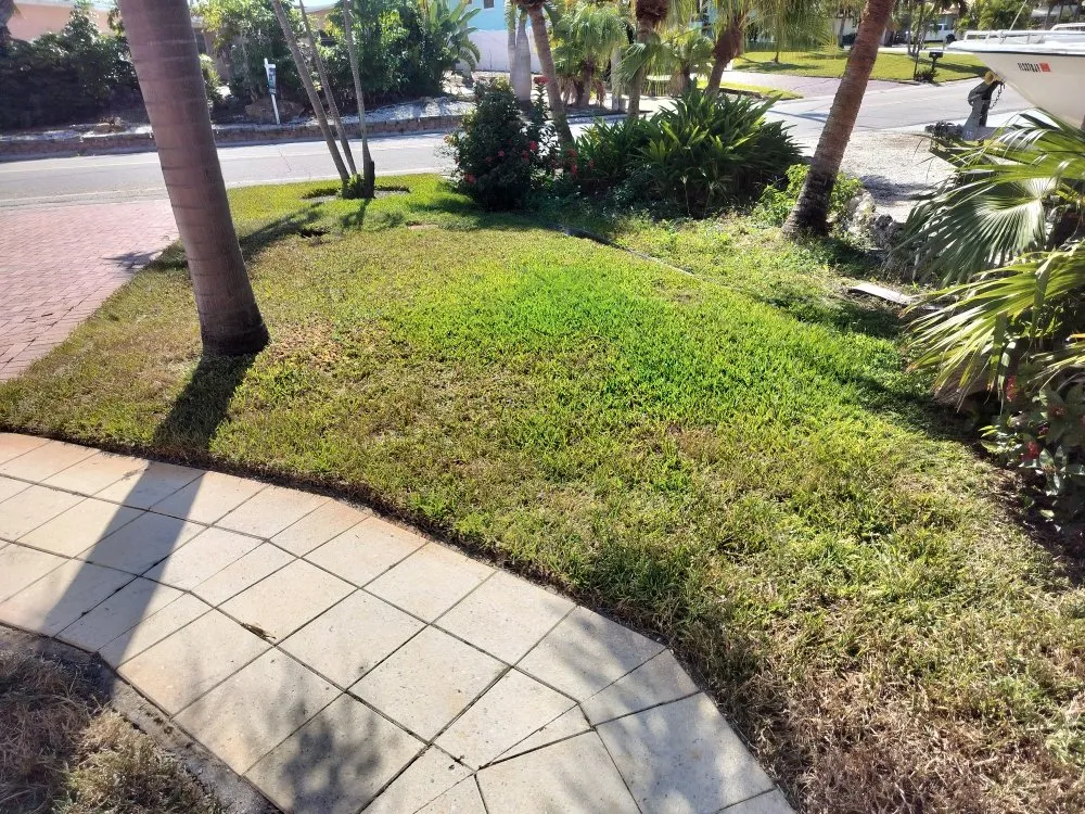 Trusted yard maintenance in St. Petersburg, FL by Clearview Handy Crew