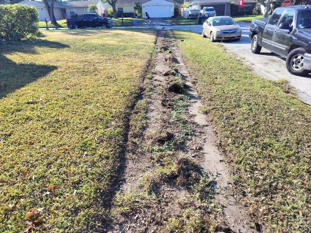 Expert yard cleanup service in St. Petersburg, FL - Clearview Handy Crew