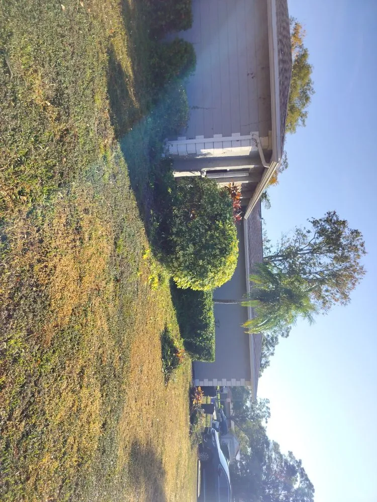 Affordable yard cleanup service for year-round maintenance in St. Petersburg, FL by Clearview Handy Crew