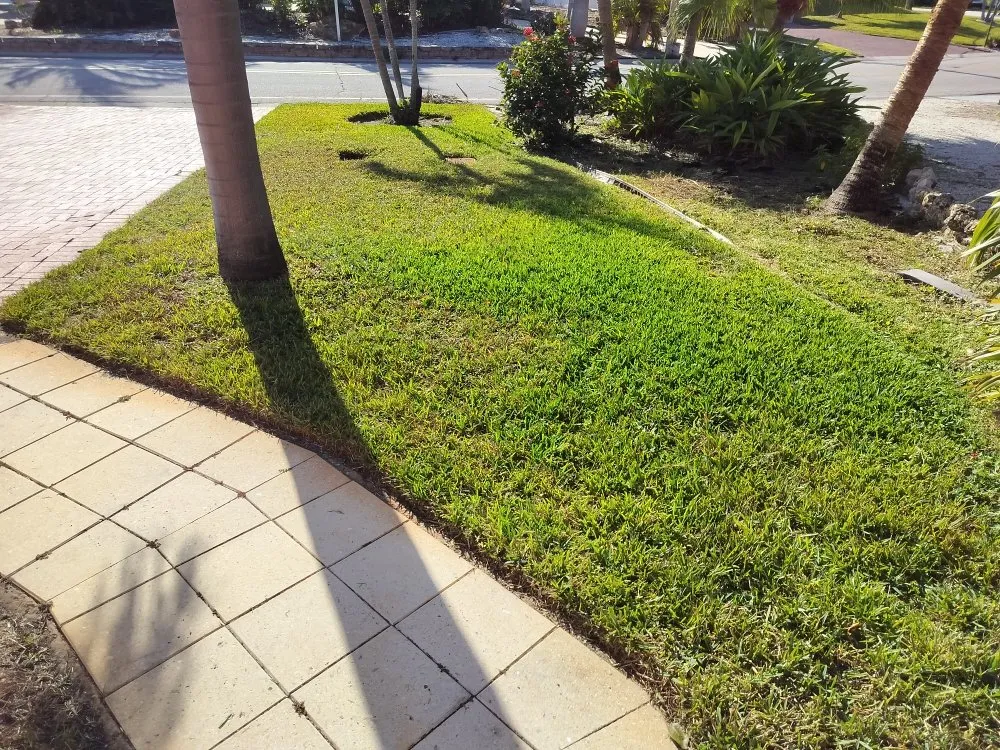 Top-rated yard cleanup service in St. Petersburg, FL - Clearview Handy Crew