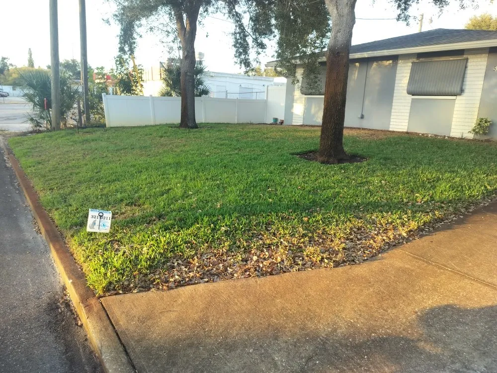 Top-rated landscape design near you in St. Petersburg, FL by Clearview Handy Crew