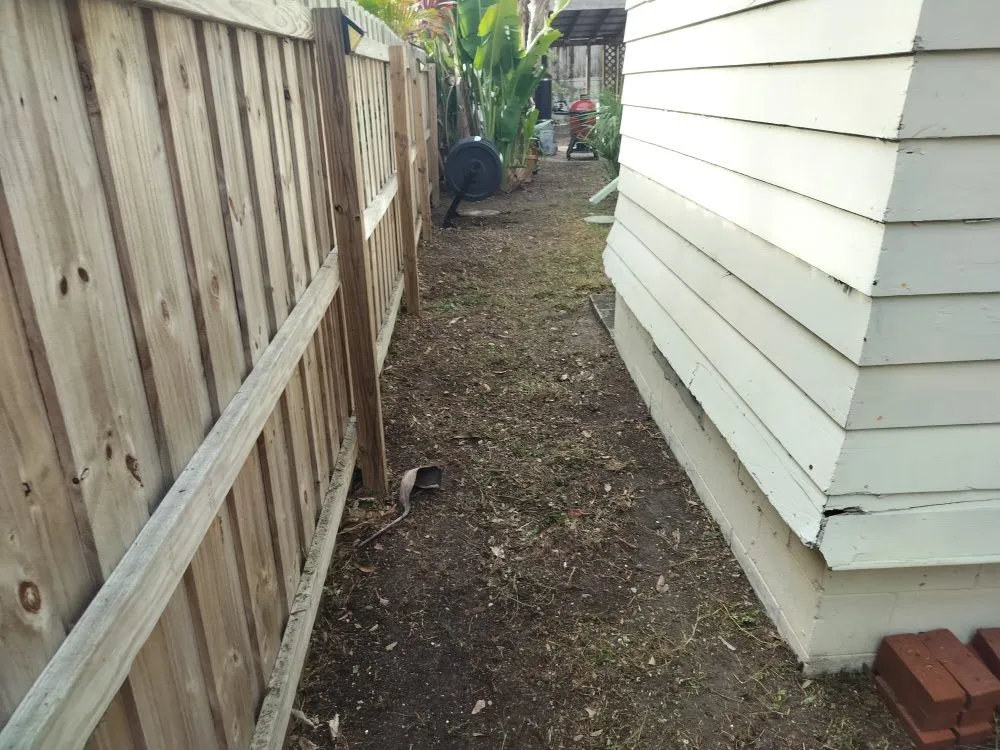 Top-rated residential landscaping for residential properties in St. Petersburg, FL by Clearview Handy Crew