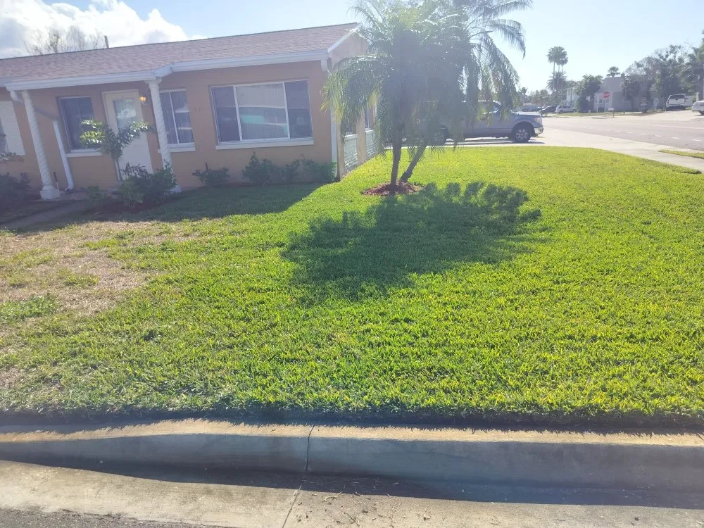Expert outdoor landscaping in St. Petersburg, FL by Clearview Handy Crew