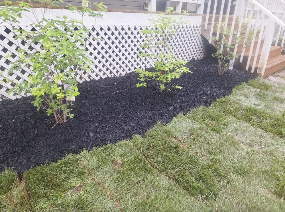 Reliable yard maintenance for beautiful yards in Hiawassee, GA by Clearview Landscape Solutions