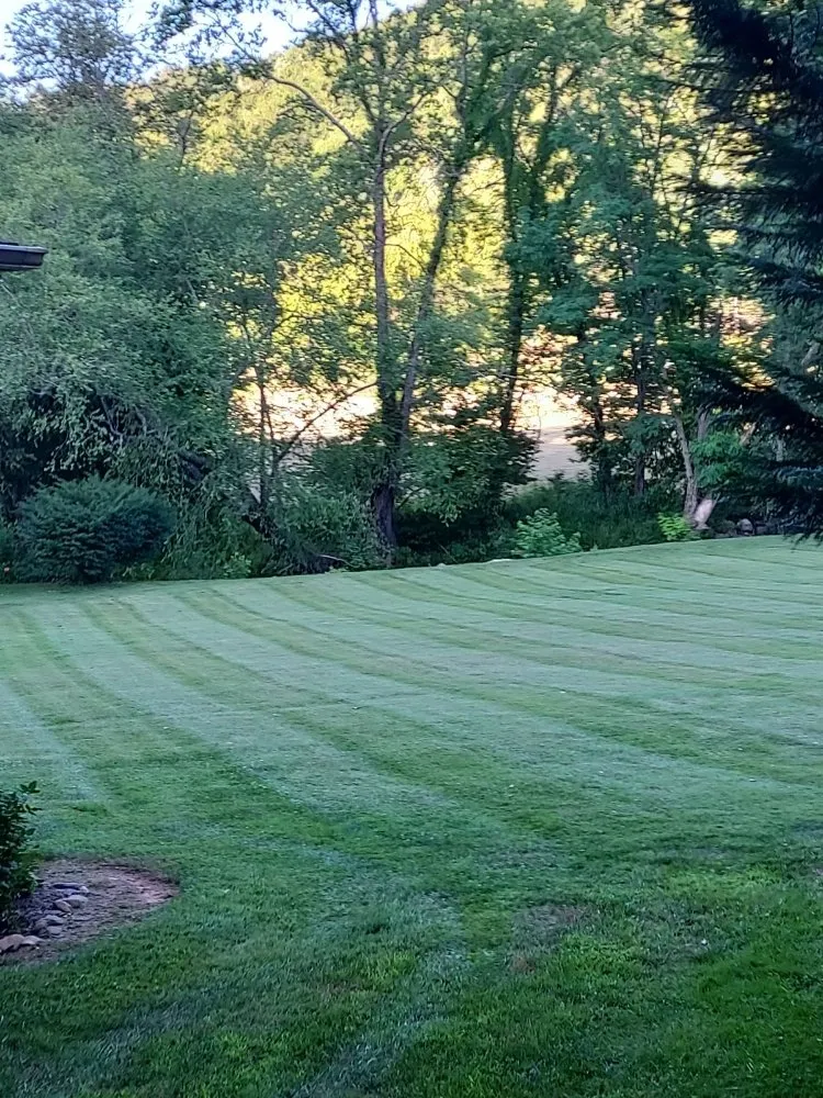 Professional outdoor landscaping in Hiawassee, GA - Clearview Landscape Solutions