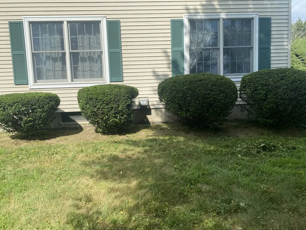 Professional yard cleanup service in Hatfield, MA by Clearview Landscapes