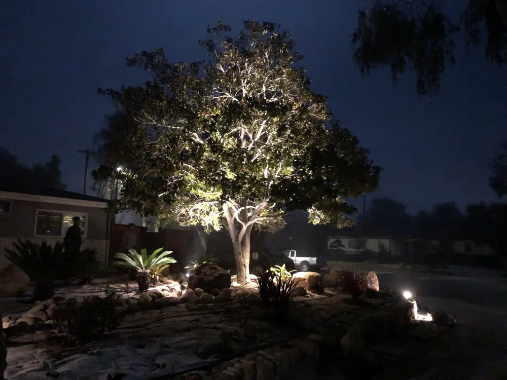 Trusted yard cleanup service near you across Santa Barbara, CA - Clearview Landscaping