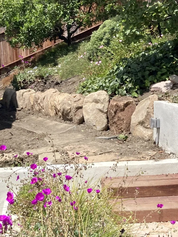 Affordable landscape installation experts serving Santa Barbara, CA - Clearview Landscaping