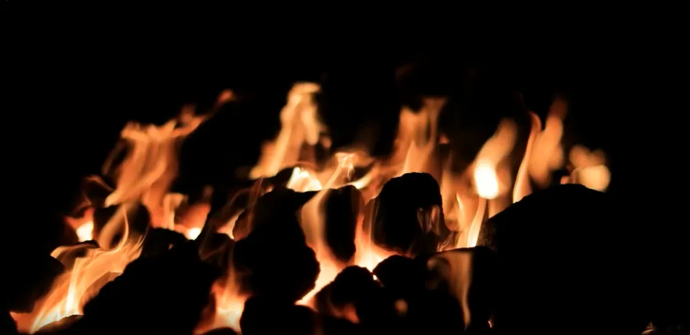 Professional yard maintenance experts serving Santa Barbara, CA - Clearview Landscaping