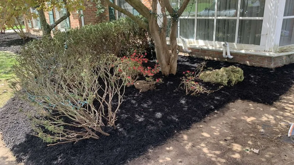 Professional landscaping services with custom design across Toledo, OH - Clearview Landscaping