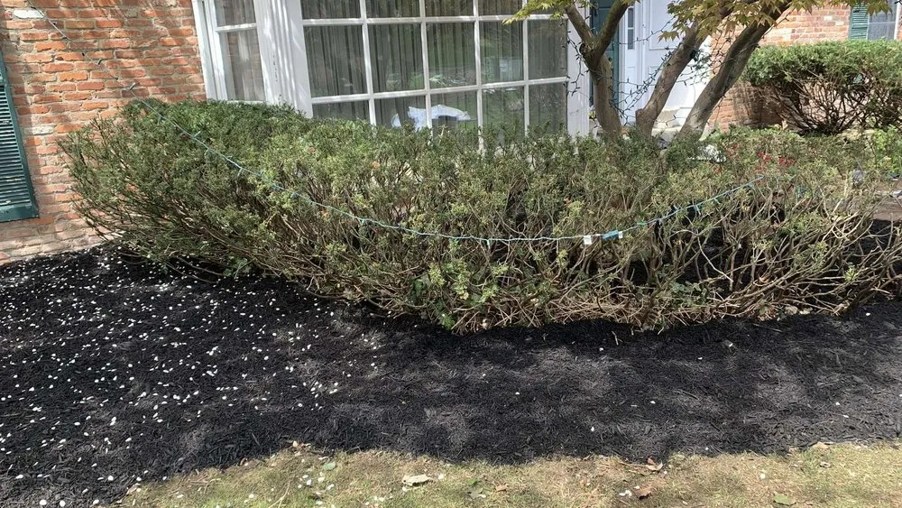 Local landscape design for outdoor upgrades in Toledo, OH by Clearview Landscaping