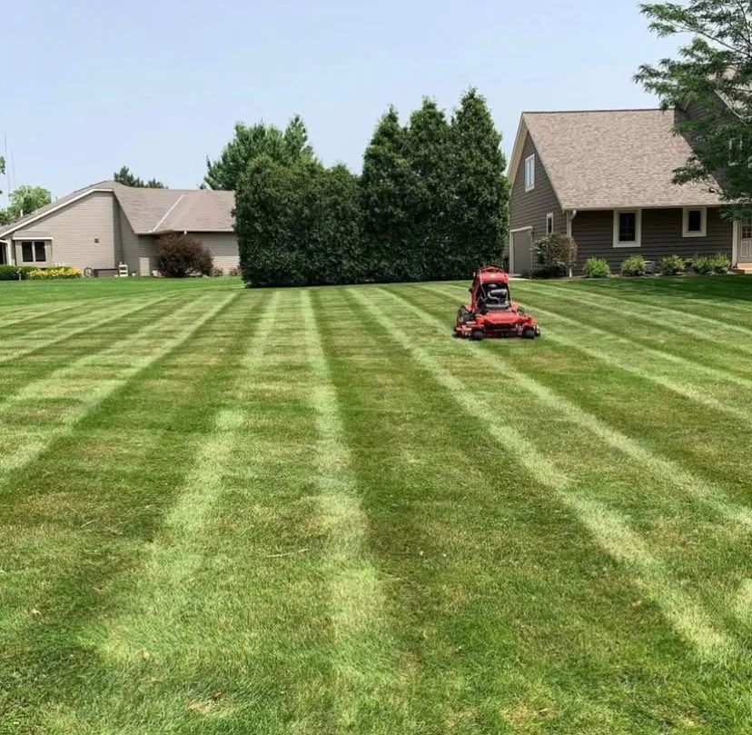 Local yard maintenance near you in trenton, NJ by Clearview landscaping