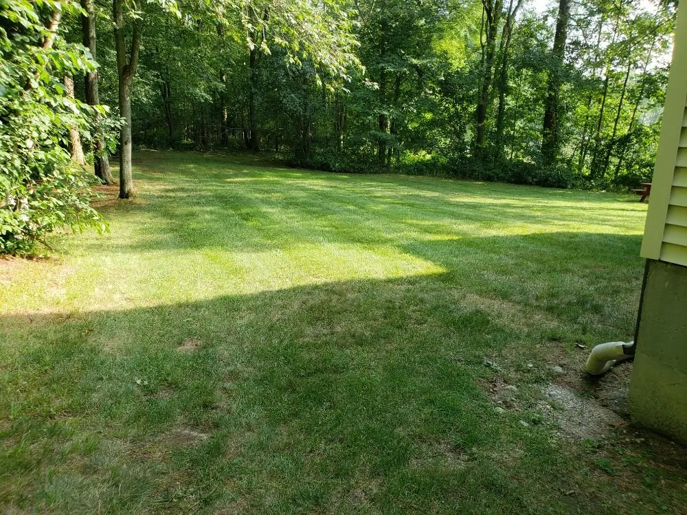 Affordable landscape installation for beautiful yards across North Andover, MA - Clearview Lawn and Yard Care