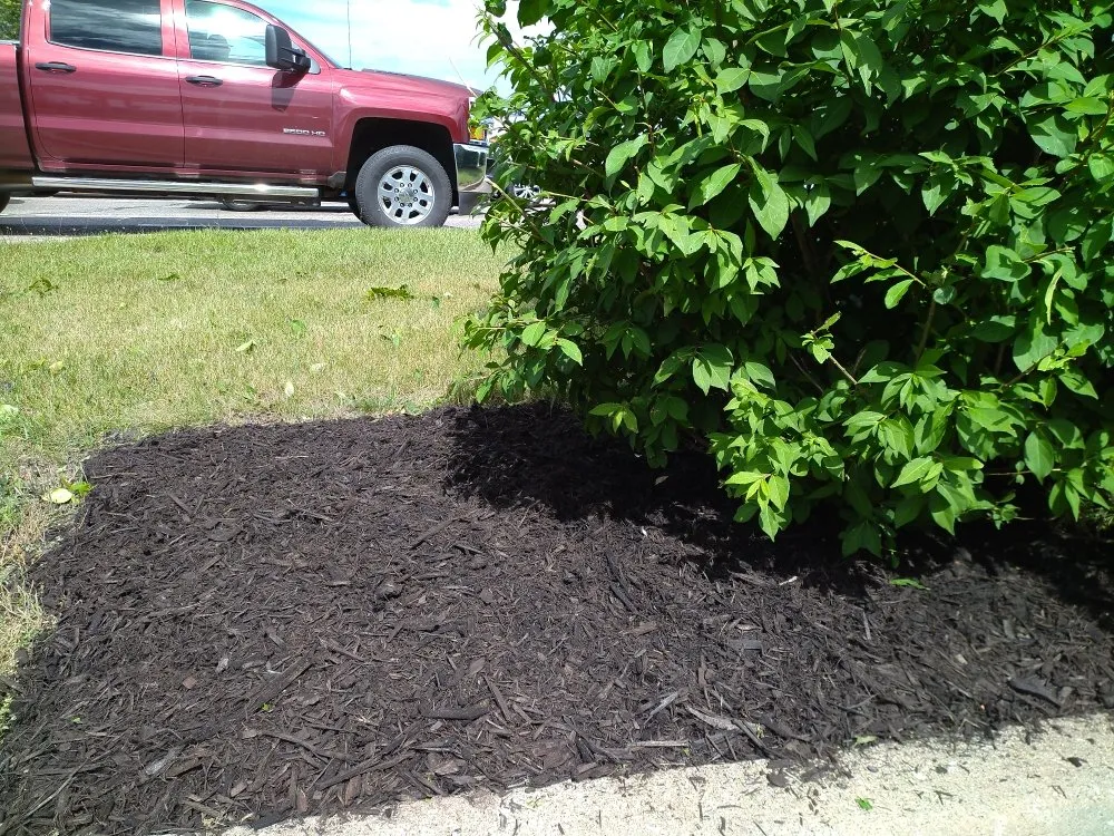 Custom residential landscaping experts serving Hillsdale, MI - Clearview Lawn Care