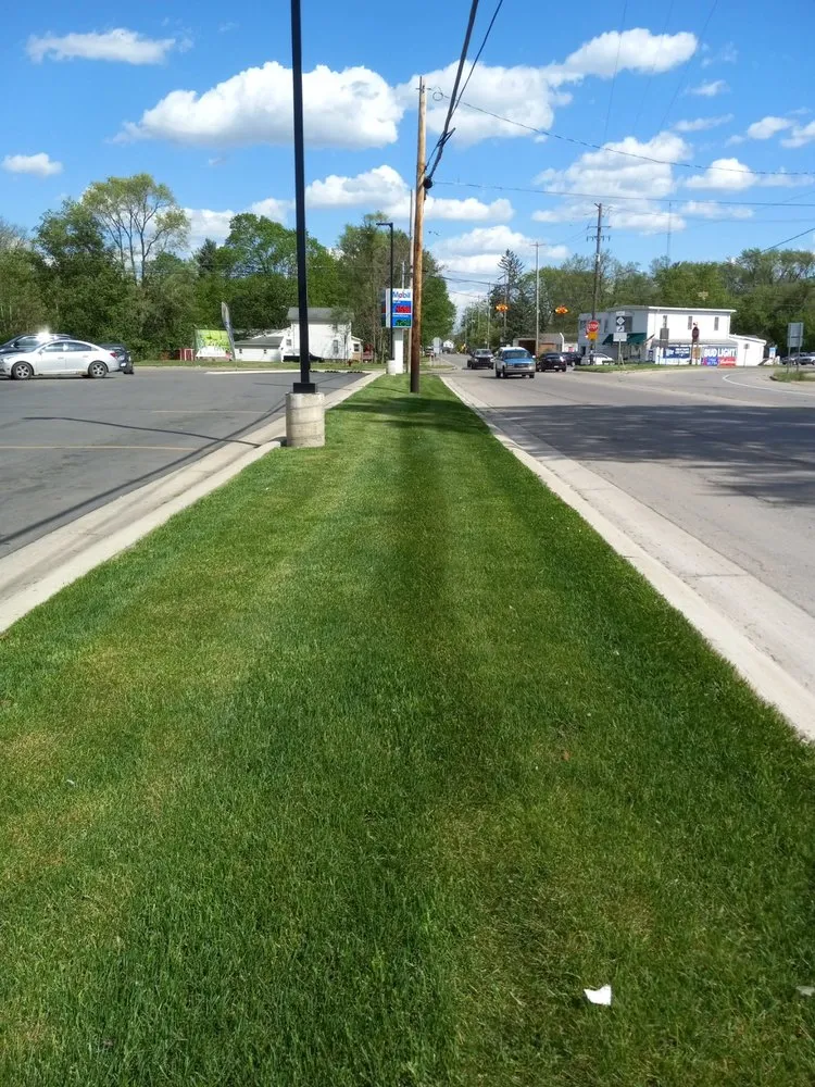 Affordable yard cleanup service experts serving Hillsdale, MI - Clearview Lawn Care