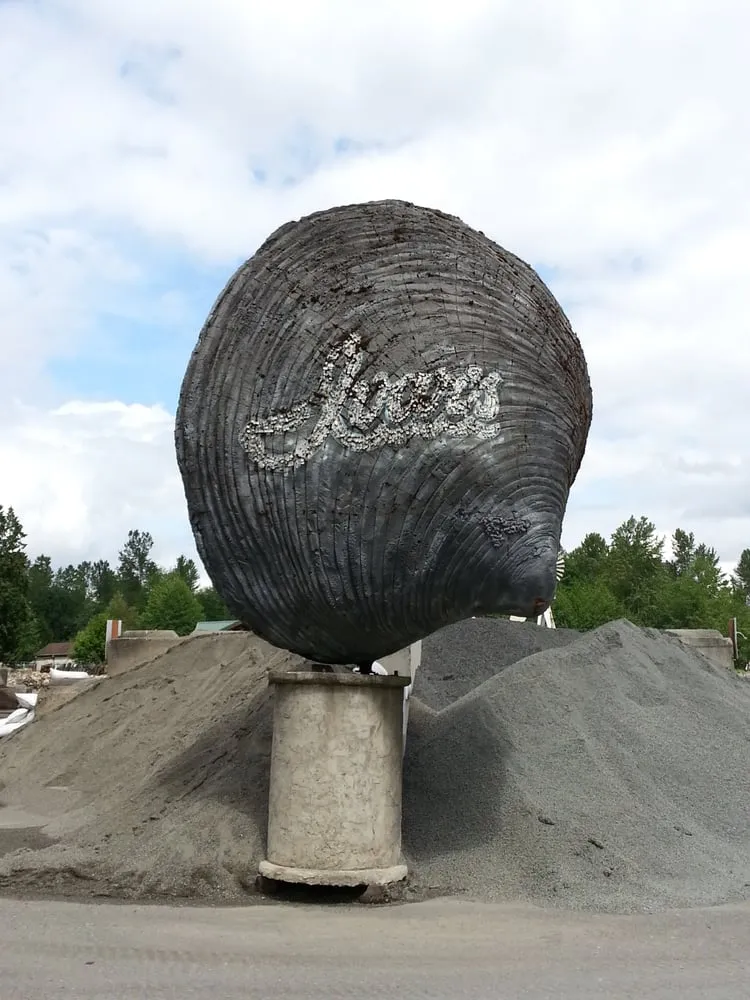 Custom yard maintenance for year-round maintenance across Snohomish, WA - Clearview Nursery & Stone