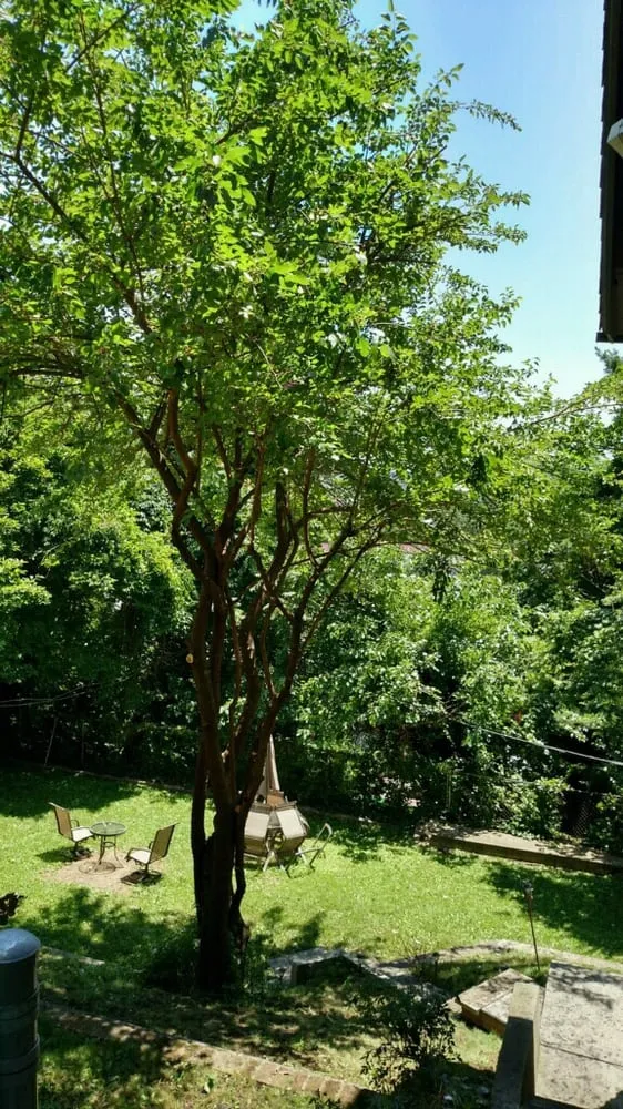 Local residential landscaping in Westbury, NY - Clearview Tree and Land Corp