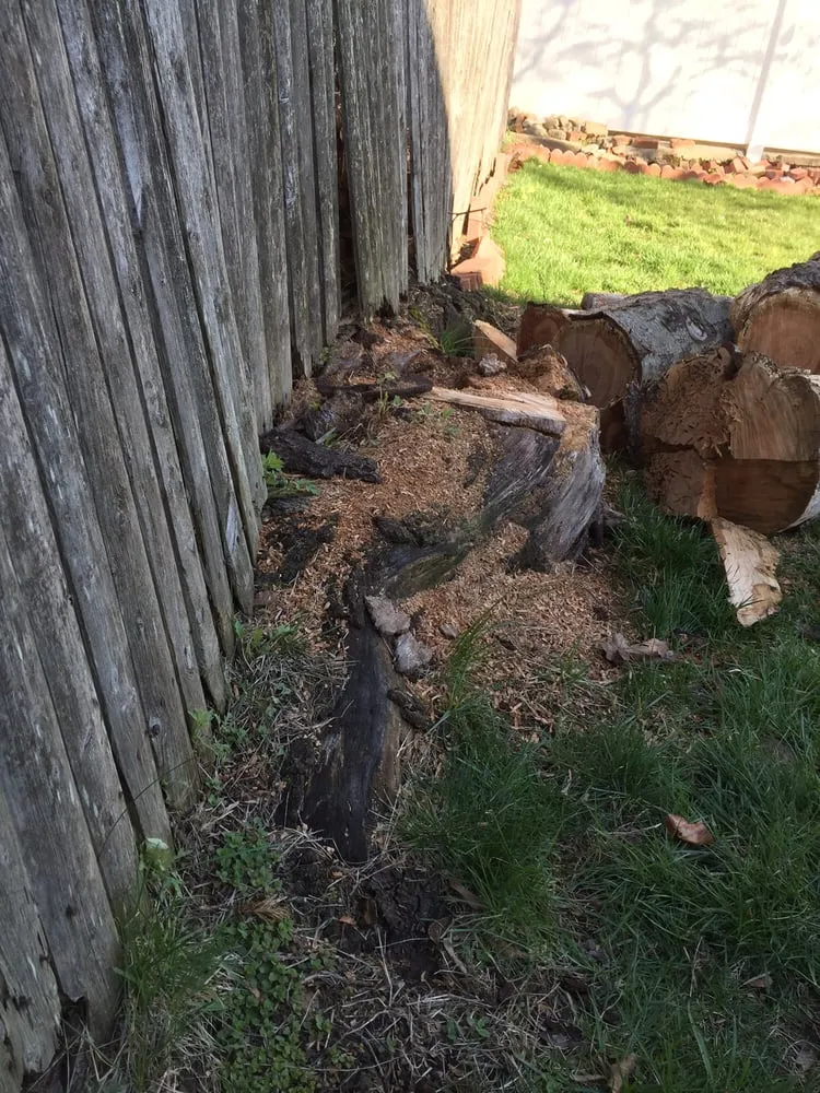 Expert landscape installation for residential properties in Westbury, NY by Clearview Tree and Land Corp