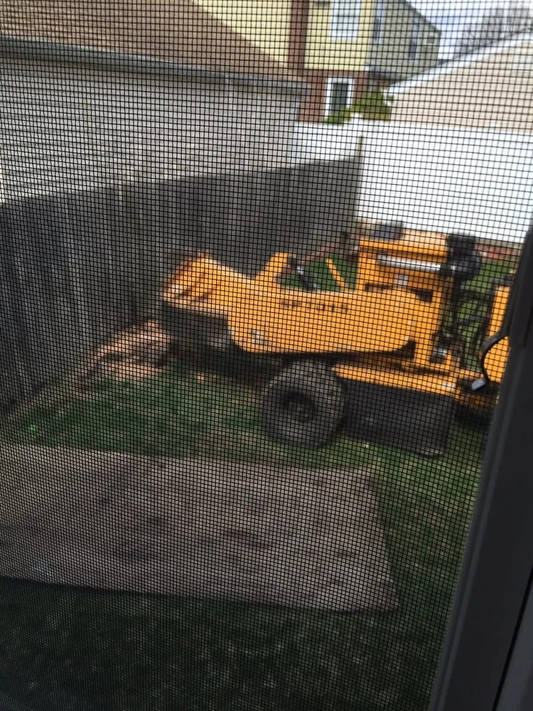 Local landscape installation in Westbury, NY by Clearview Tree and Land Corp