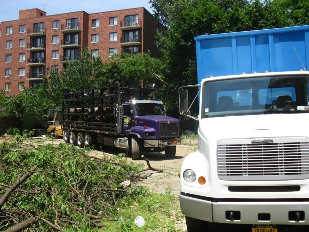 Top-rated landscape design for homes across Westbury, NY - Clearview Tree and Land Corp