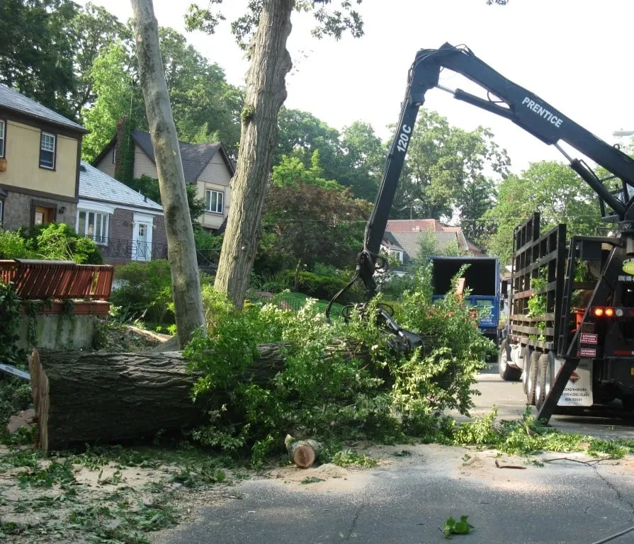 Reliable landscape design experts serving Westbury, NY - Clearview Tree and Land Corp