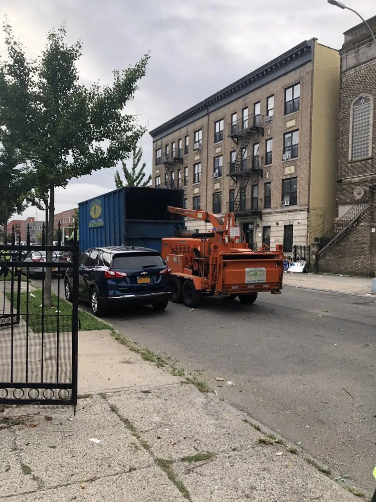 Professional landscaping services for year-round maintenance in Westbury, NY by Clearview Tree and Land Corp